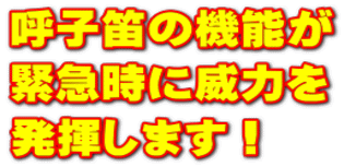 �Ďq�J�̋@�\�� �ً}���ɈЗ͂� �������܂��I